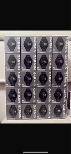 Garmin 165
