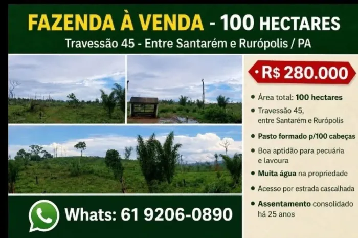 Fazenda à Venda no Pará- Rurópolis 