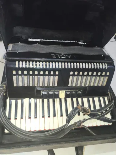 Sanfona / acordeon EAGLE