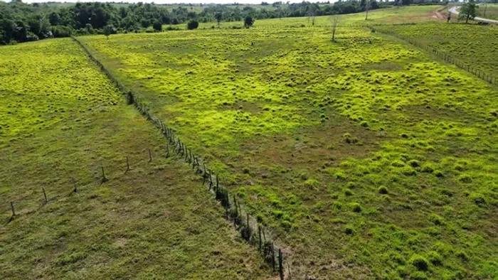 210 alqueires pronta ha 220 km de Belém documentada 9 milhões de reais