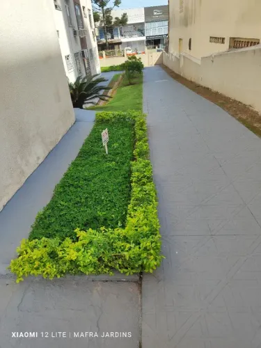 Jardinagem e paisagismo faça seu orçamento sem compromisso