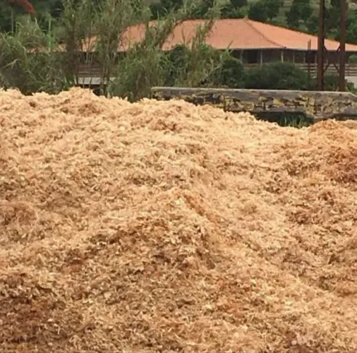 Serragem ou maravalha, temos pronta entrega pó de serra usado  ou polir aço