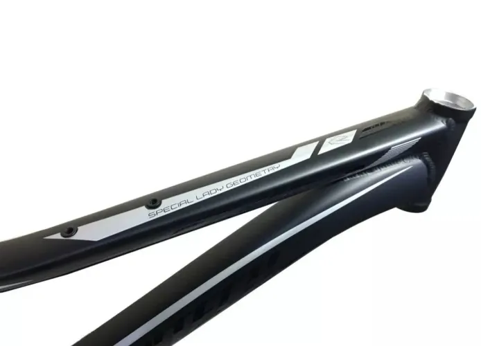 Quadro MTB VICINI 15"