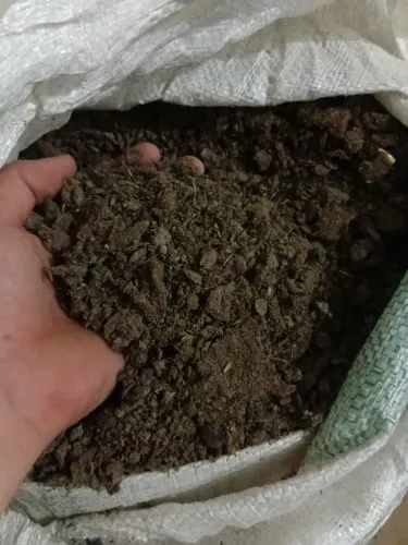 Esterco bovino puro de qualidade