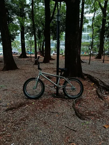 Bicicleta Calypso aro 20 bmx