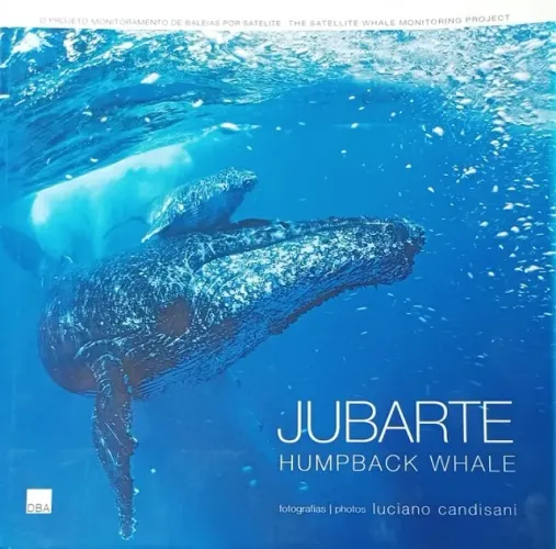 JUBARTE Humpback Whale - Luciano Candisani - DBA Books - Novo - Português | Inglês