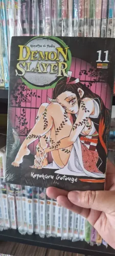 Demon slayer volume 11