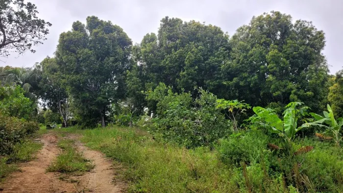 Vendo fazenda no município de Valença 
