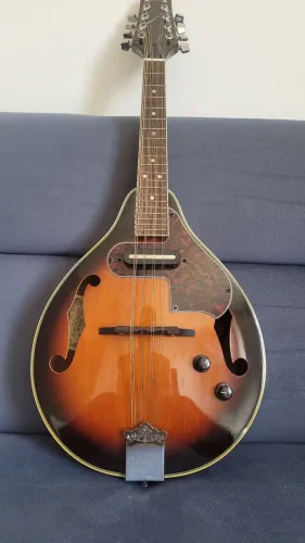 Bandolim Ibanez Elétrico-acústico <br>Modelo: M510E-BS