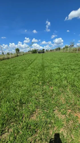 Cháraca na Igrejinha 5000m2 rica em Água só R$ 580mil 