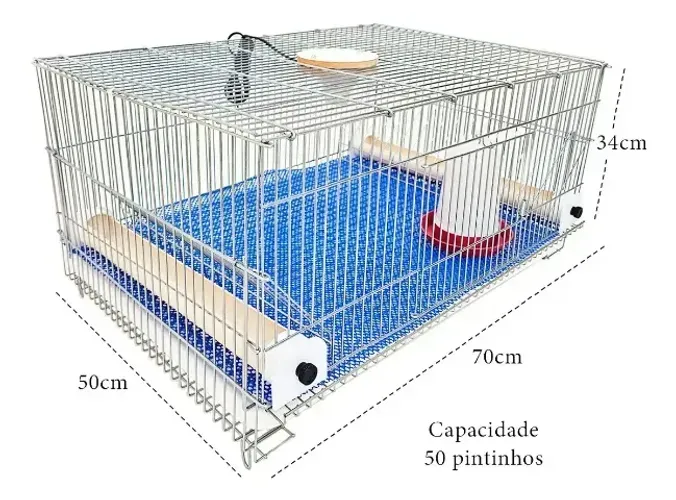 Mini Criadeira Para Pintinhos Com Bocal Para Aquecimento