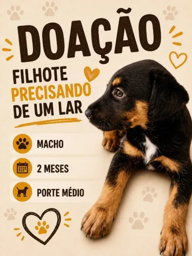 Cachorro para doação