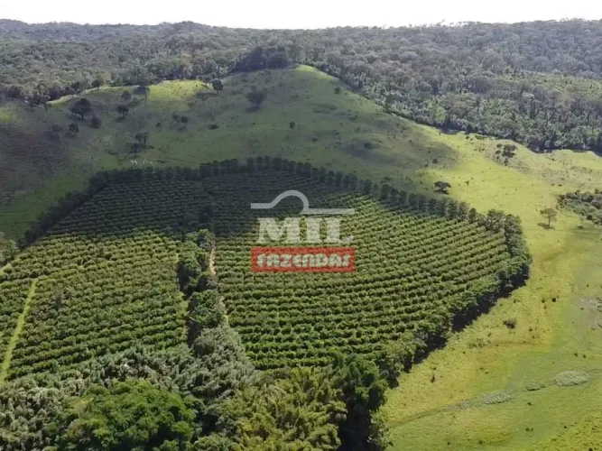 Fazenda EXTRA em Goiânia 73 alqueires (353,32 Hectares).