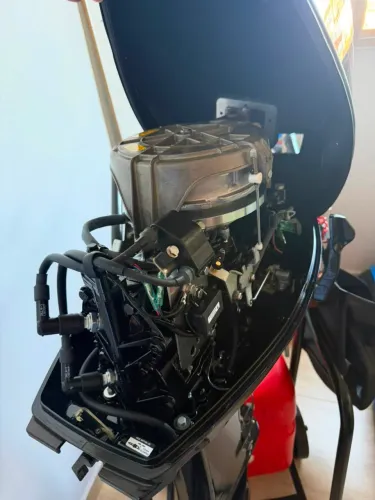 Motor mercury 30 manual