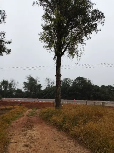 Campo com 14 hectares 