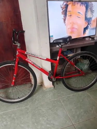 Bicicleta feminina