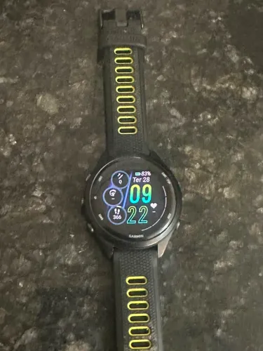 Garmin 265s