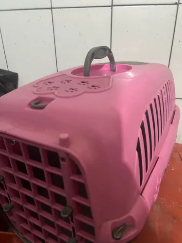 Vendo transporte de cachorro ou gato