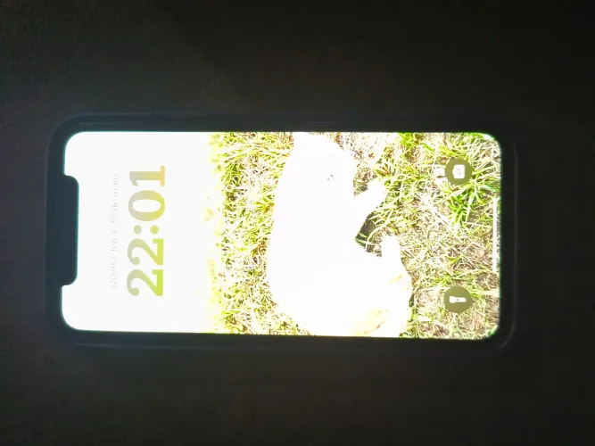 iPhone xr tudo perfeito 