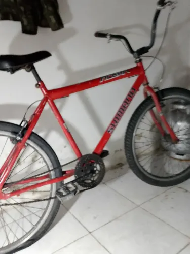 Bicicleta 170
