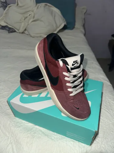 Nike Sb force 58