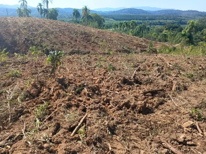 Imóvel para venda com 480000 metros quadrados com 2 quartos em Centro - Eldorado - SP