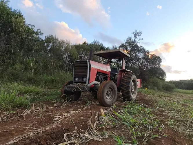 Trator Massey Ferguson 275