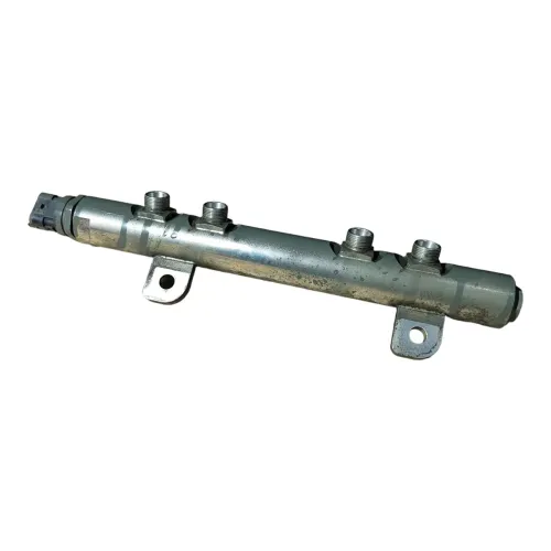 Flauta Common Rail Cam Vw 11180 E342