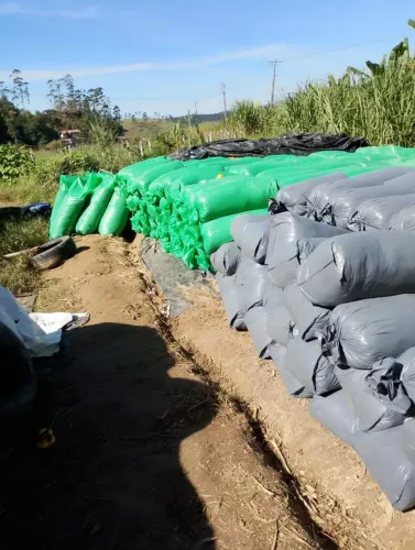 Silagem 25kg de 1° qualidade, R$ 15,00 o saco