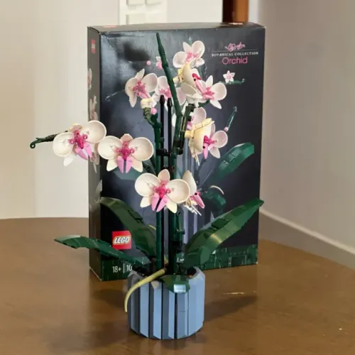 Lego Orquídea Coleção Botânica 608 Peças | Completo + Manual Original | USADO