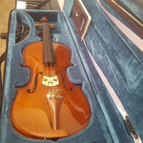 Violino 4/4 EAGLE