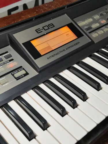 ROLAND E-09