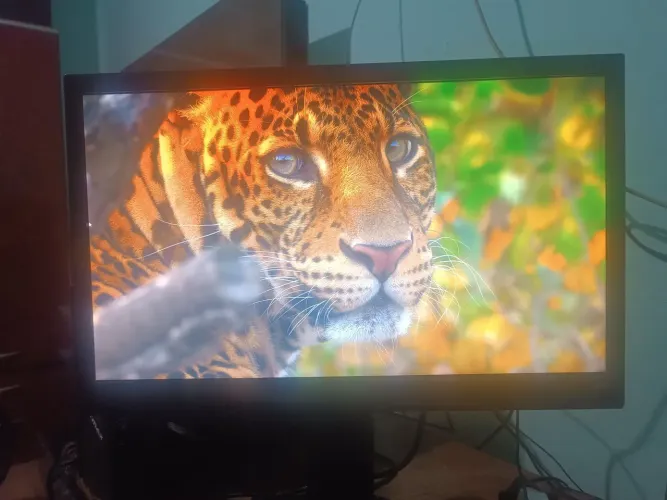 Monitor 22° FullHD