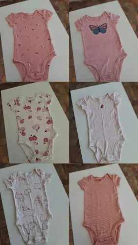 Lote carters 