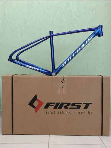 Quadro Aro 29 First Athymus