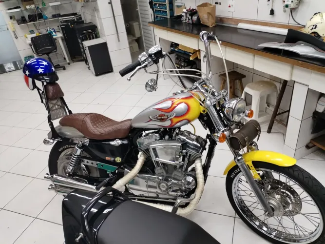 Harley Davidson (única) Customizada