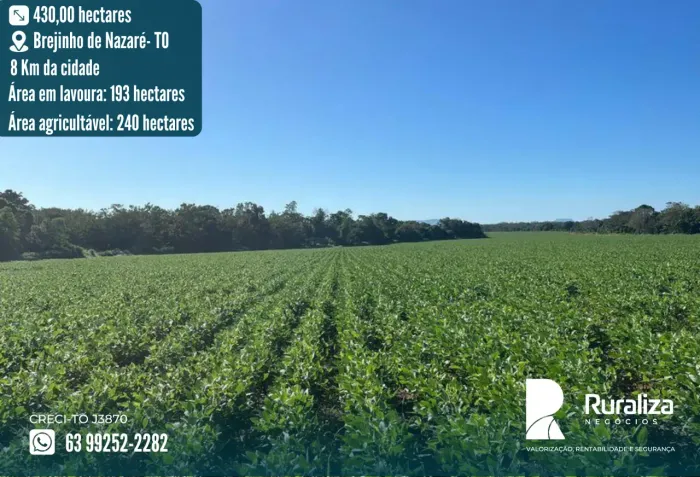 Fazenda à Venda em Brejinho de Nazaré - TO