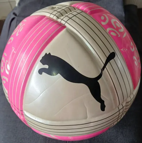 BOLA FUTEBOL FRANCA LIGUE 1 PUMA 2011 CAMPEONATO FRANCES ORIGINAL NOVA FRETE GRATIS
