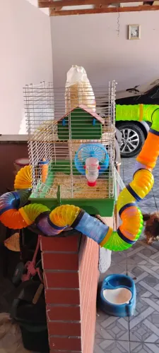 Gaiola de hamster
