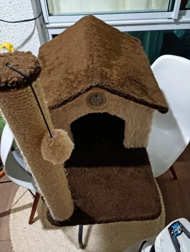 Arranhador de gato