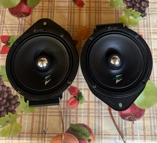 Evok 230rms 6 polegadas