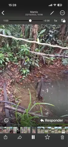 Sítio à Venda em Ilhéus - 13.670m² | Mina d?Água | A 4km da Praia 