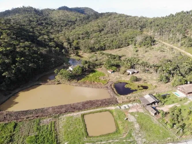 Sítio à Venda em Balneário Piçarras - 7,7 Hectares - Frente Asfaltada