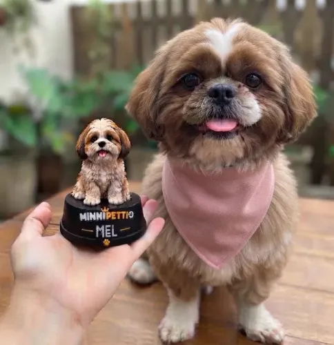 Transforme Seu Pet em Miniatura 3D ? | Personalizada