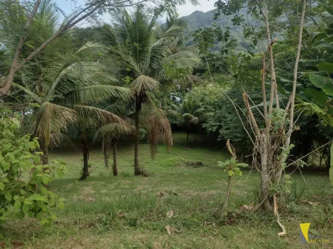 Terreno frente ao mar na Península de Santa Rita em Ubatuba-SP