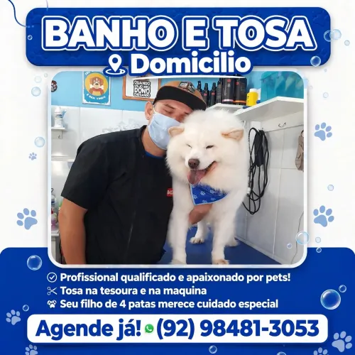 Banho e tosa