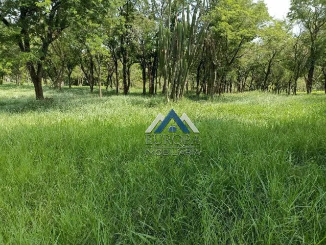 Sítio à venda, 302500 m² por R$ 1.850.000,00 - Centro - Assaí/PR