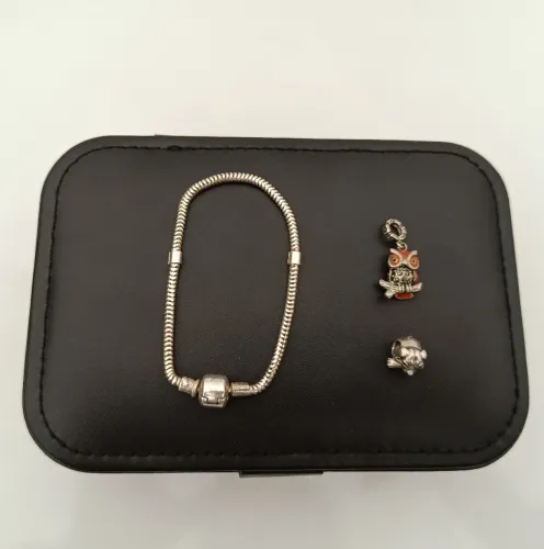 Pulseira em Prata Esterlina 925 com 2 Berloques em Prata - Coruja e Cachorro