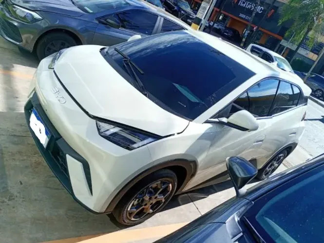 BYD Dolphin Mini (Elétrico) 2027