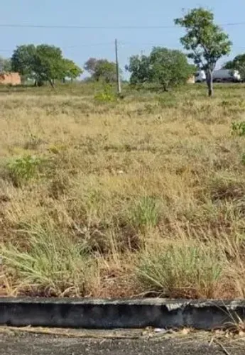 Lote jardim madri Luzimangues